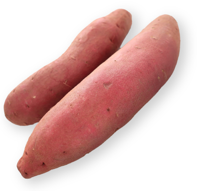 シルクスイート